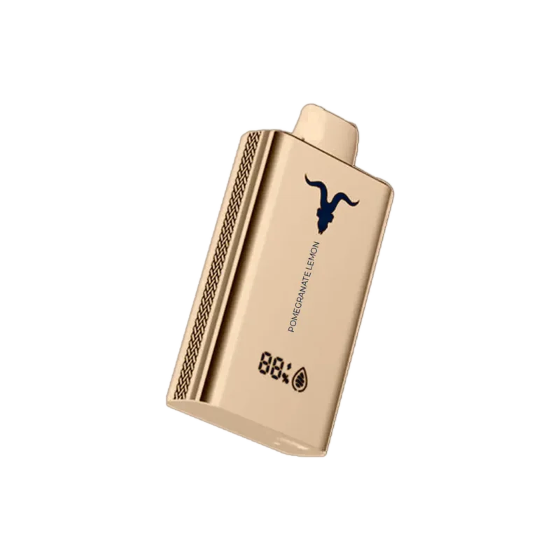 CAIXA COM 10 UNIDADES - IGNITE 12 MIL PUFFS! 🔥